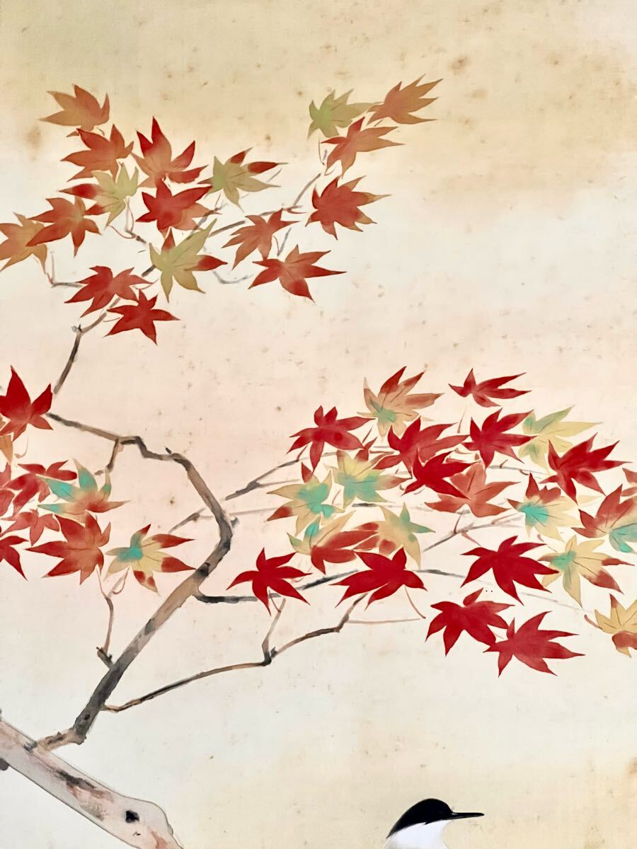作者不詳 絹本掛軸 花鳥小禽図 作品は良い絵描の作品 美術品