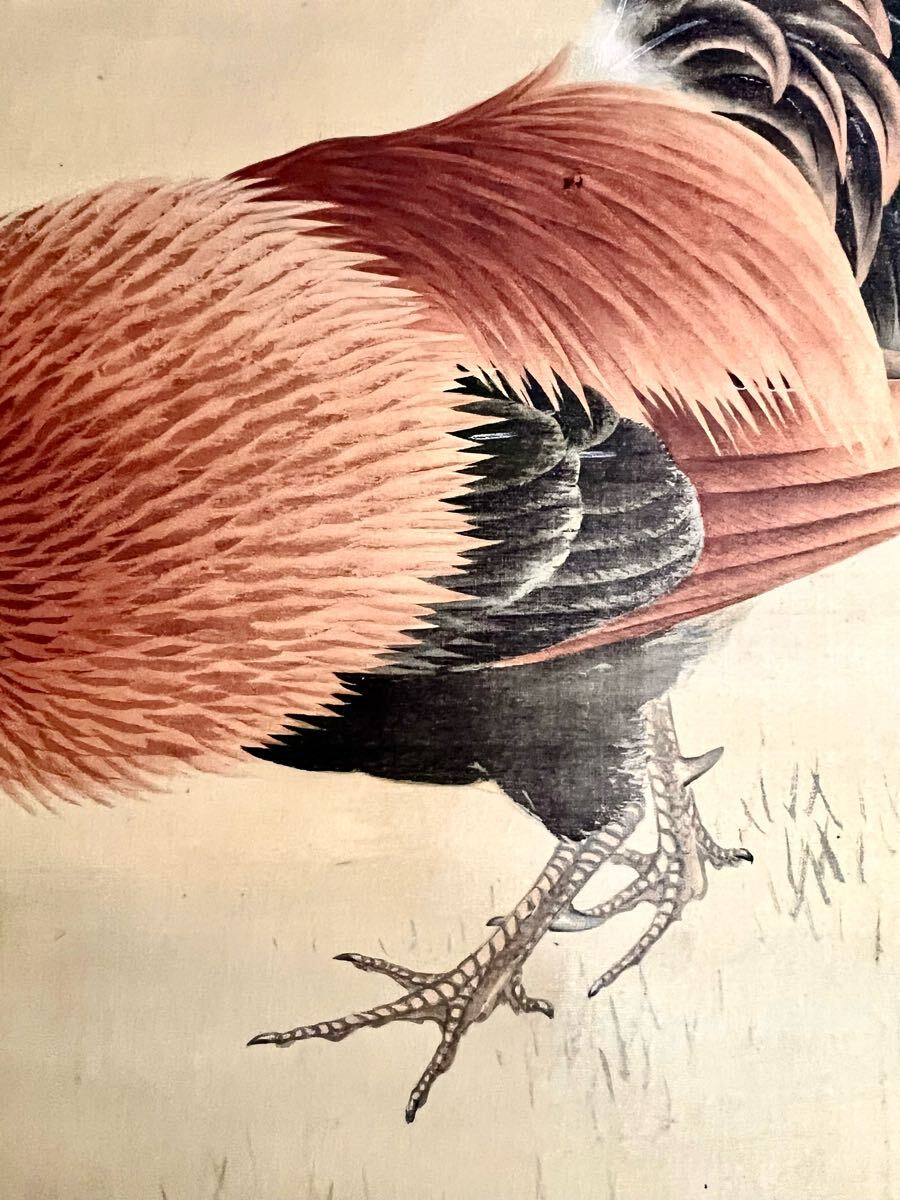 模写】【S8】伊藤若冲「旭日双鶏図」絹本 合箱 花鳥図 鳥獣 日本