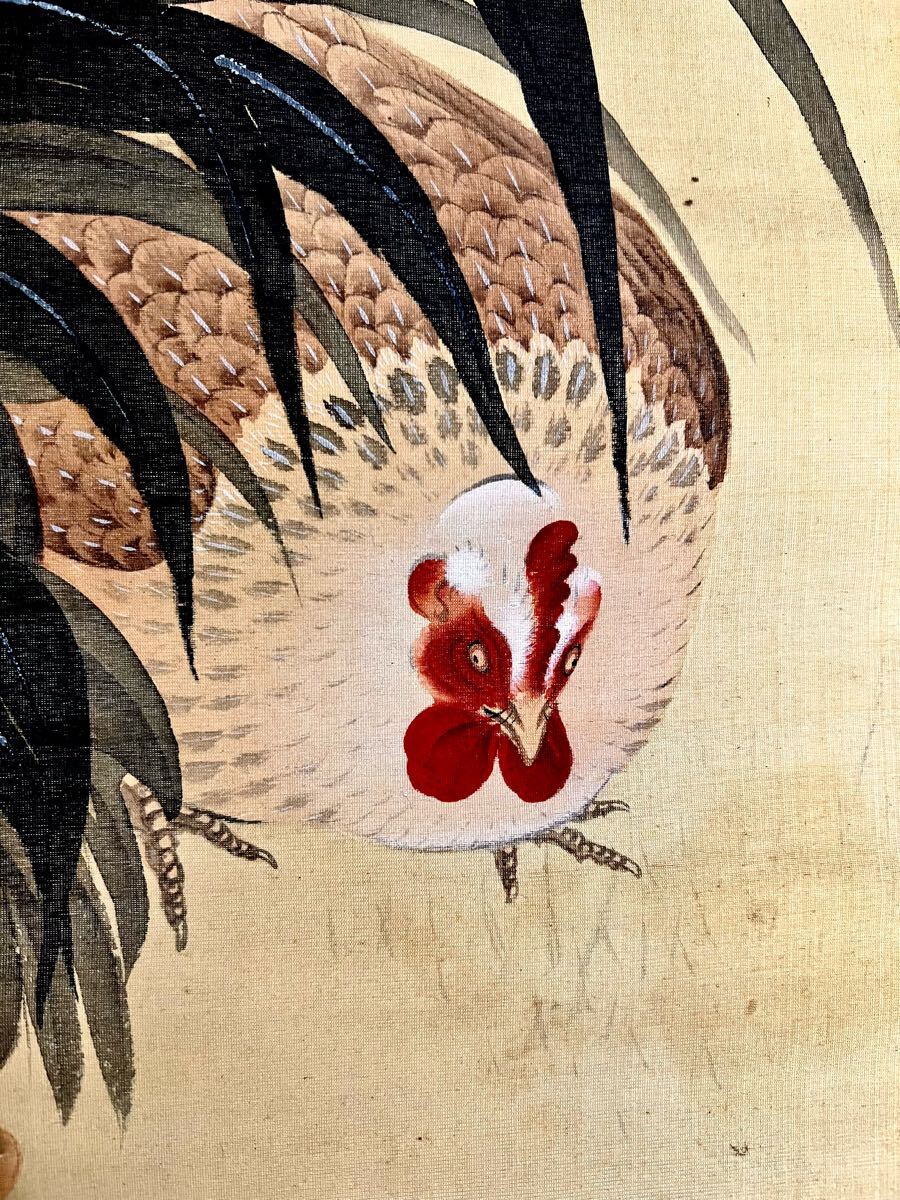 模写/円山応拳/旭日/双鶏図/布袋屋掛軸HB-942 （模写/円山応拳