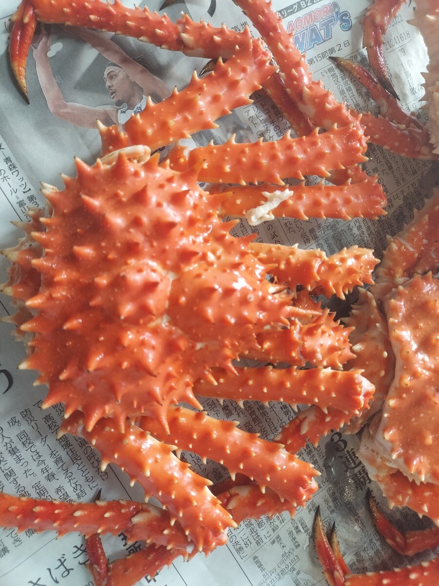 小型タラバガニ210g1匹840円即決