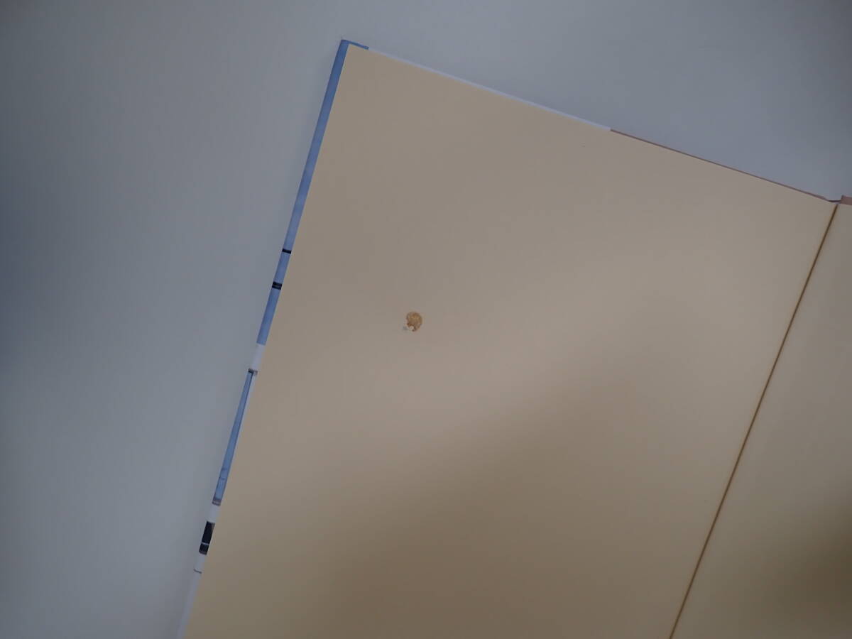 X2Bφ　みつき色　美月絢音 寫真集　中山雅文/撮影　ワニブックス　初版