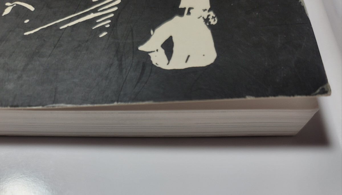 ブルース・リー ・BRUCE LEE LEGENDS OF THE DRAGON VOLUME1 262ページ 写真集(フォトブック)_画像4