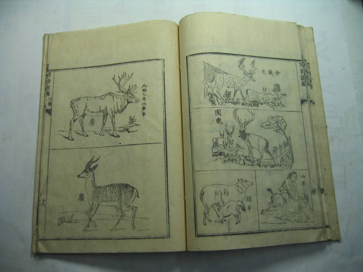 item_image_6