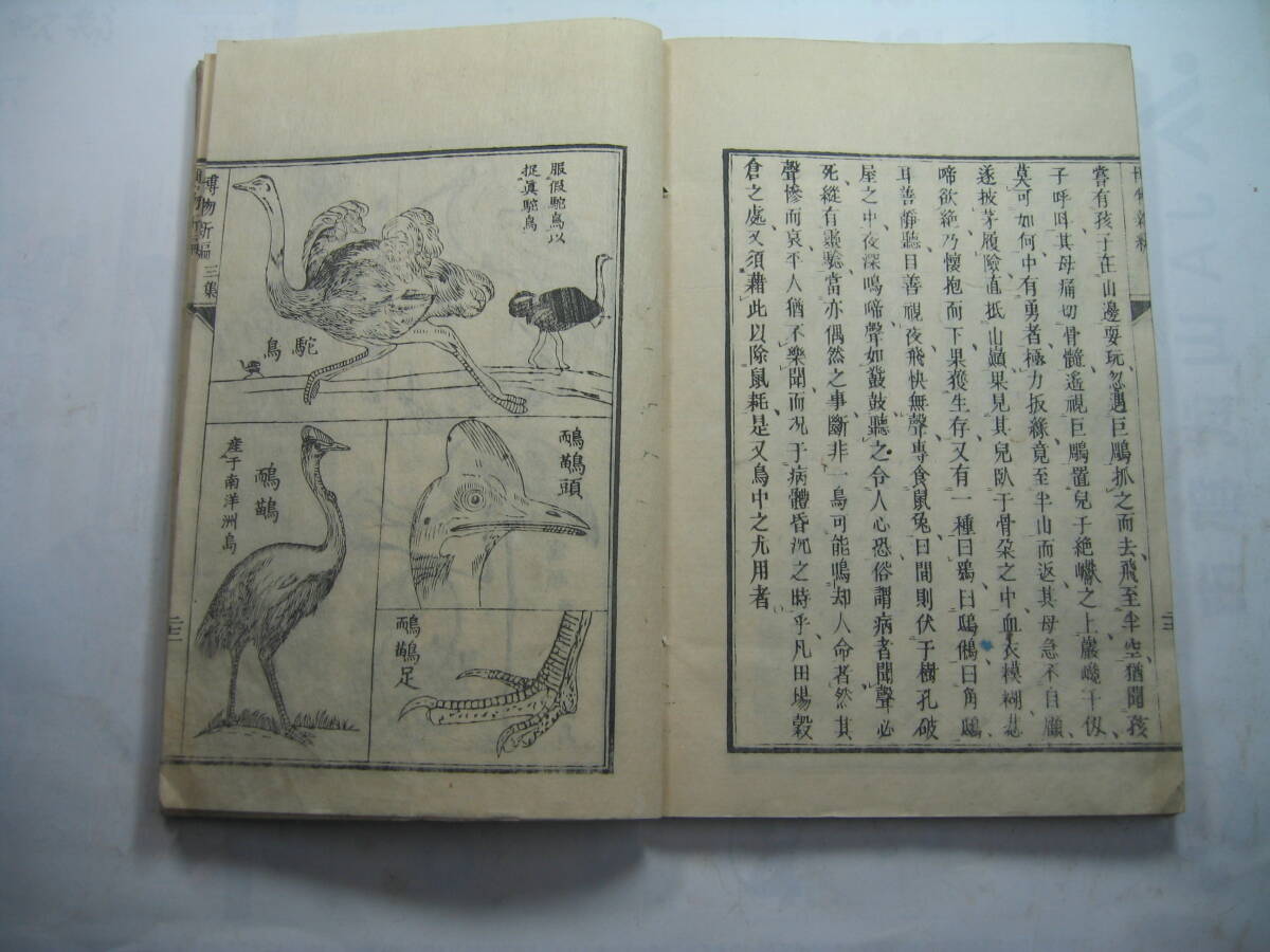 item_image_9