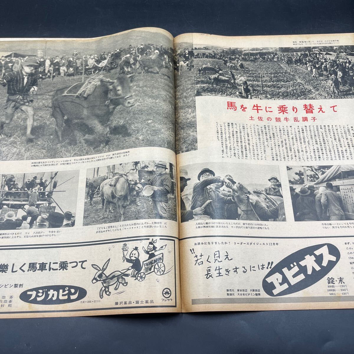 『毎日グラフ 1951 3/20』鈴木君子 朝鮮戦線 苫米地義三 ピカソの陶器 ハイカラ三味線/杵屋佐之助?花柳壽日 石川県山奧の文楽 土佐の競(jìng)牛
