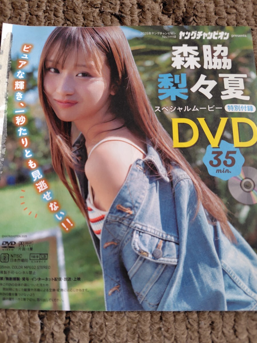 森脇梨々夏　DVD クリアファイル　ヤングチャンピオン