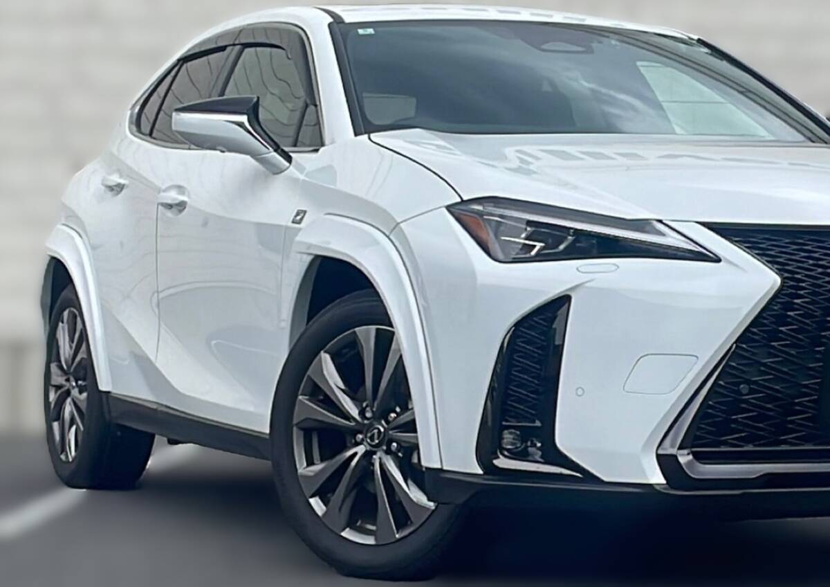 LEXUS レクサス UX ボディ同色 ディーラーOP カラード フェンダー アーチ モール 新品6点セット 各色あり UX200,UX250h,UX300h,UX300e