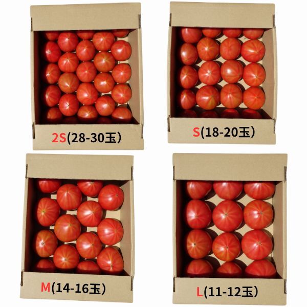 item_image_10