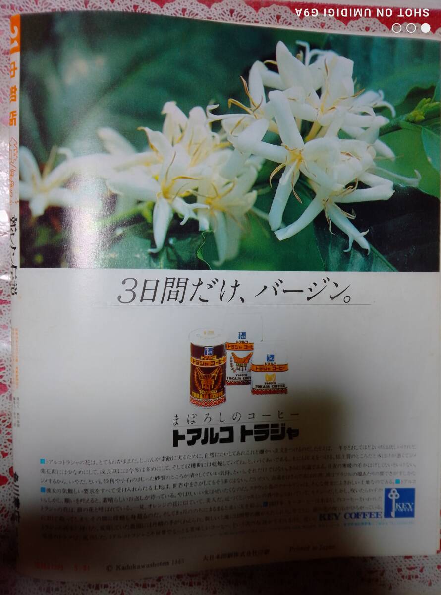 ザ?テレビジョン 1985年5月31日號 (中部版)ジュリアン?レノン/山咲千里/本田美奈子/岡田有希子/森田まゆみ/中森明菜