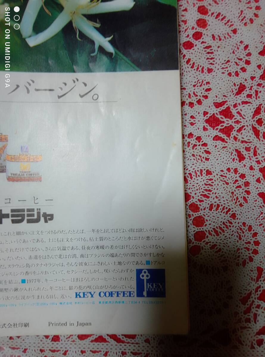 ザ?テレビジョン 1985年5月31日號 (中部版)ジュリアン?レノン/山咲千里/本田美奈子/岡田有希子/森田まゆみ/中森明菜
