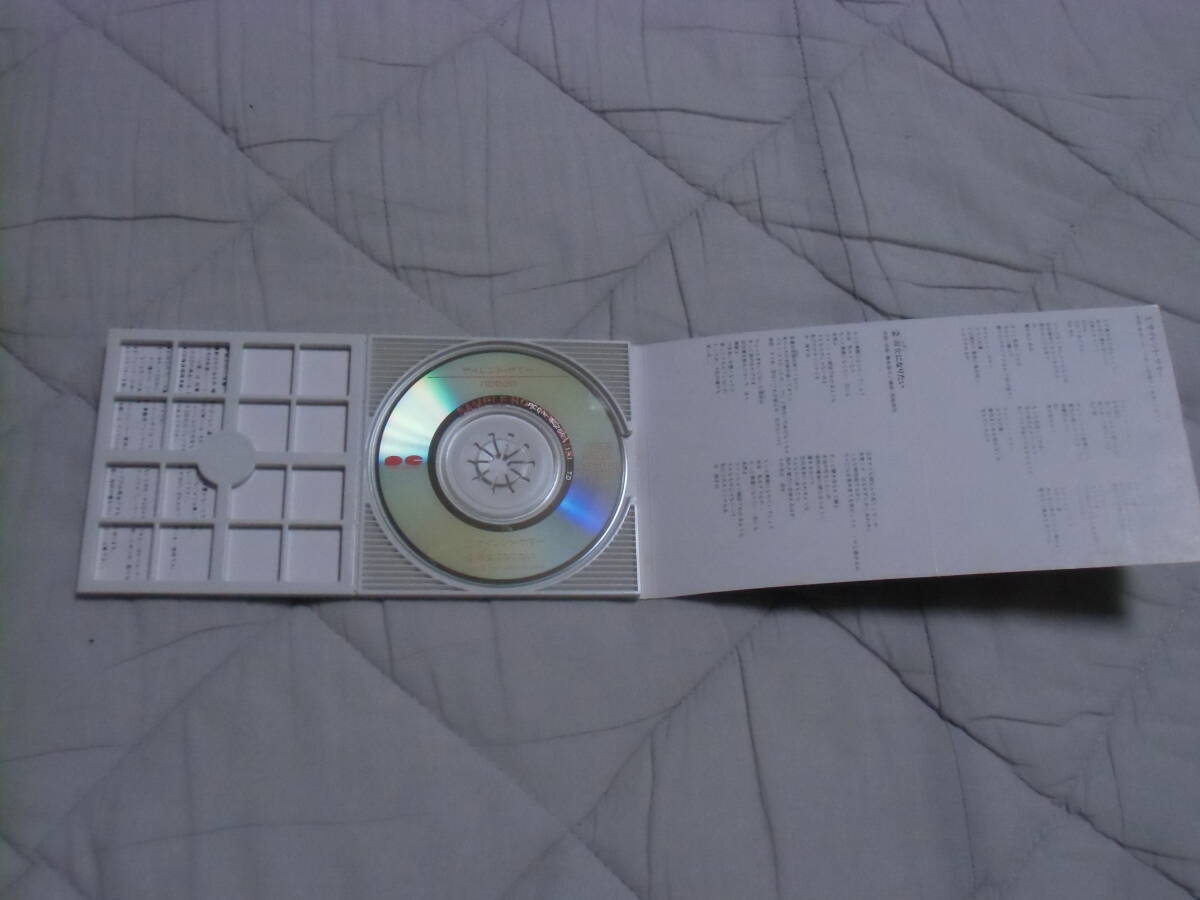 ◆M22◆ 8cm シングル CD サイレント・サマー / 淑女になりたい ribbon りぼん 永作博美 PCDA-00206 見本品_画像7