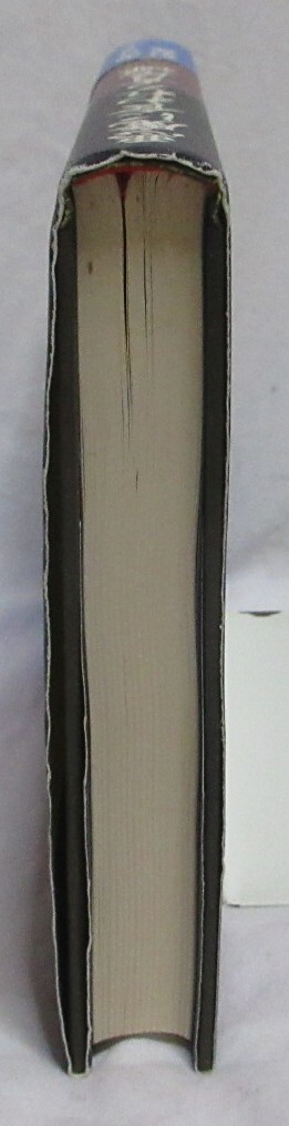 【初版/帯付】■ジョン・フランクリン・バーディン『悪魔に食われろ青尾蠅』単行本■翔泳社 1999年発行 _画像5