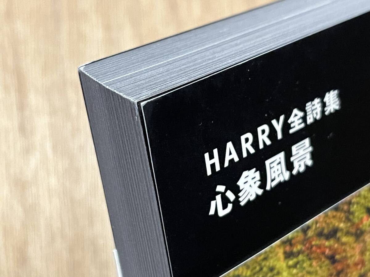 『HARRY全詩集 心象風(fēng)景』(本) ストリート?スライダーズ The Street Sliders