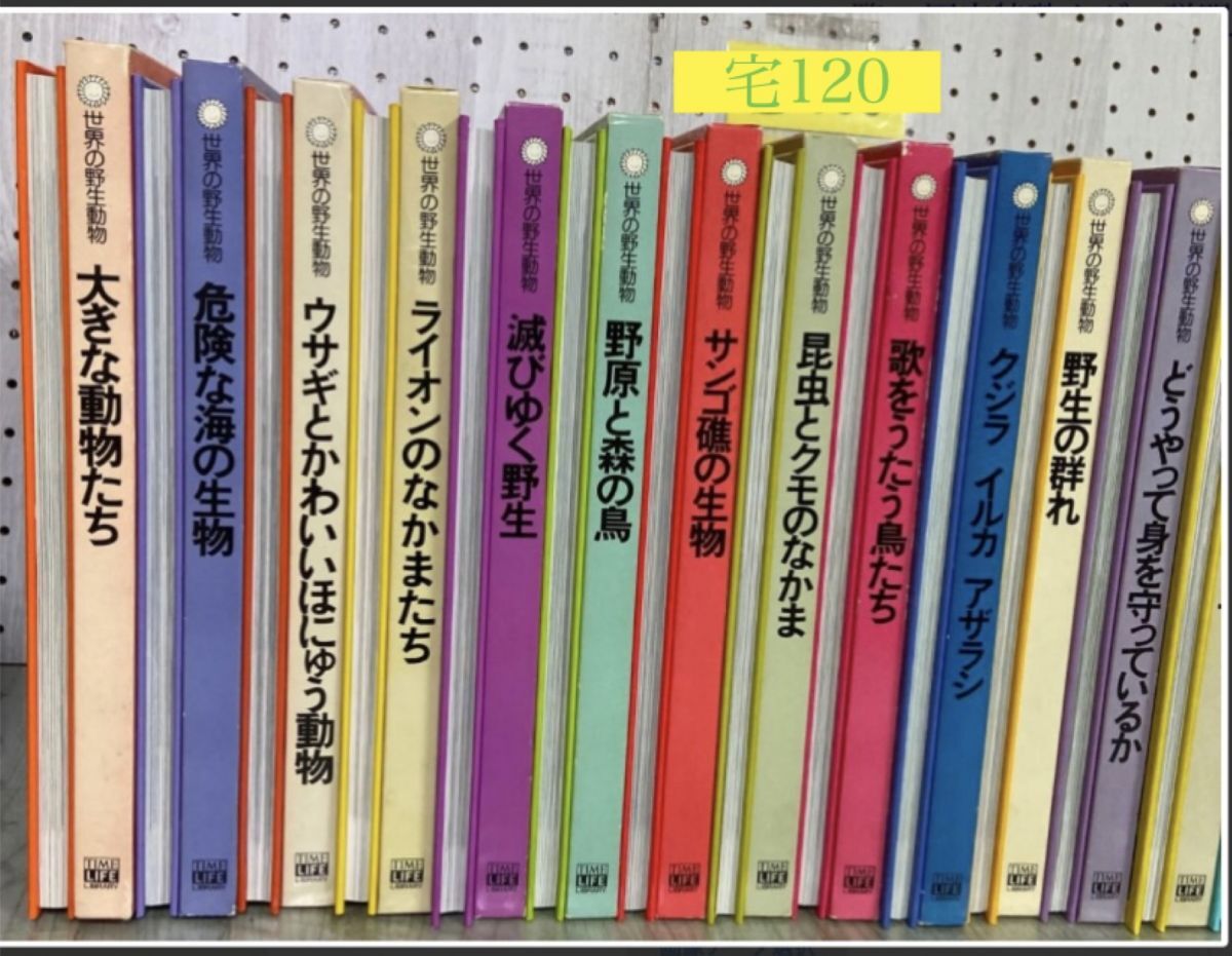 item_image_4