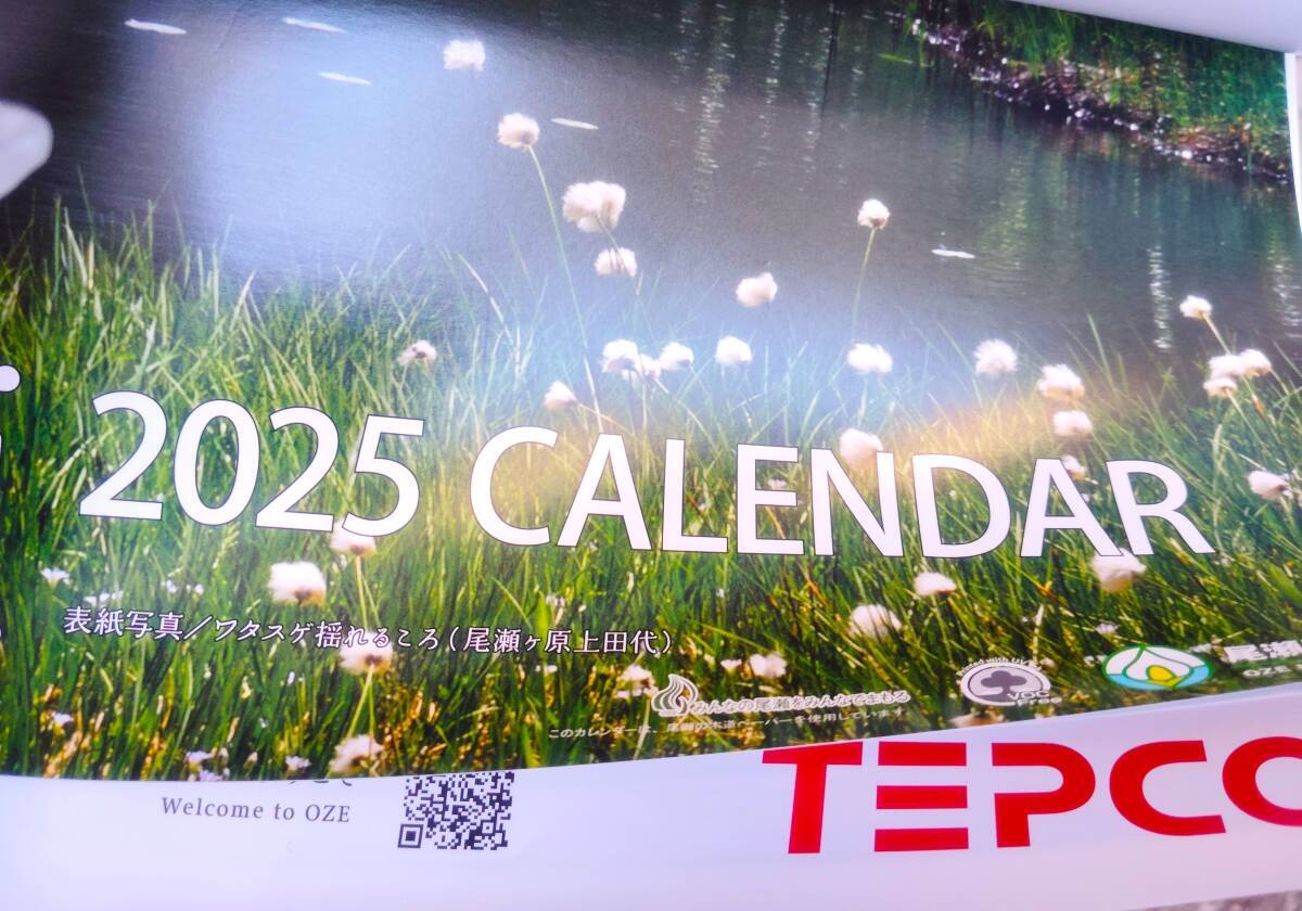 ★【非売品/未使用】カレンダー 壁掛け TEPCO 風景 はるかな尾瀬 東京電力ホールディングス株式会社_画像1