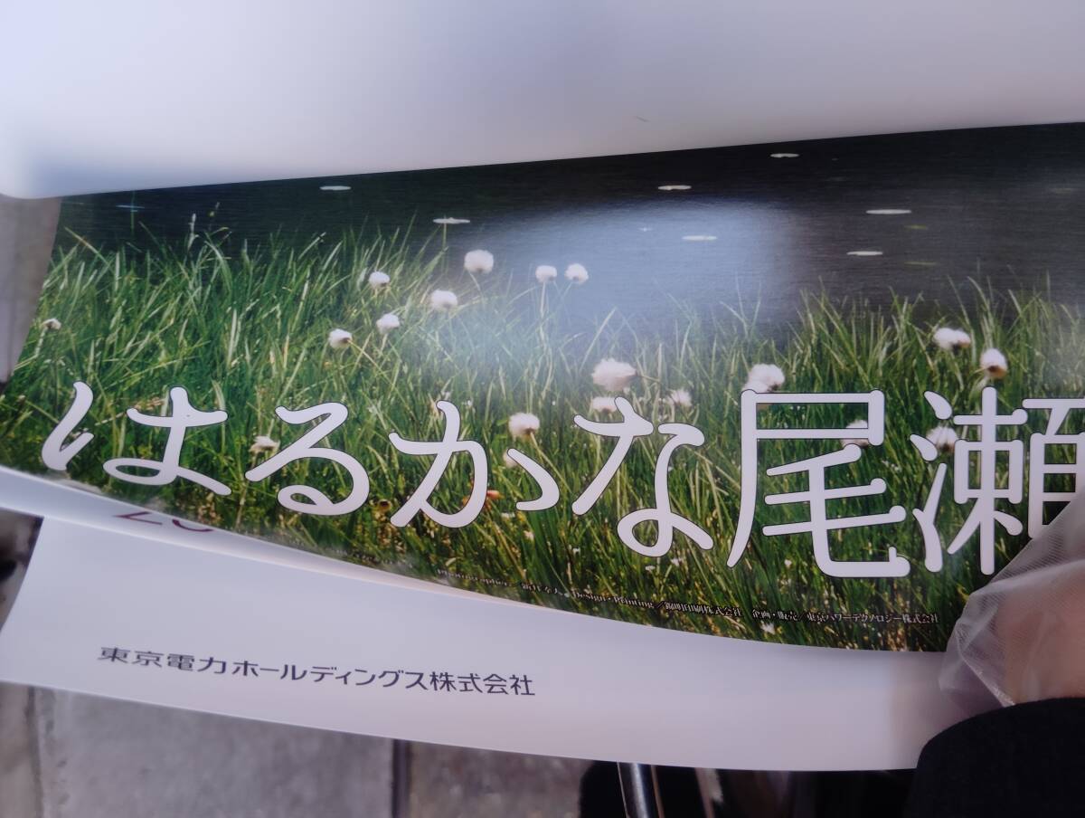 ★【非売品/未使用】カレンダー 壁掛け TEPCO 風景 はるかな尾瀬 東京電力ホールディングス株式会社_画像2