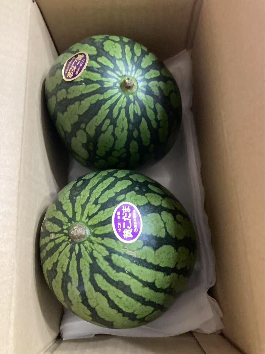 333.数量限定希少黄肉小玉西瓜スイカ2玉入り箱込み3.3Kg前後