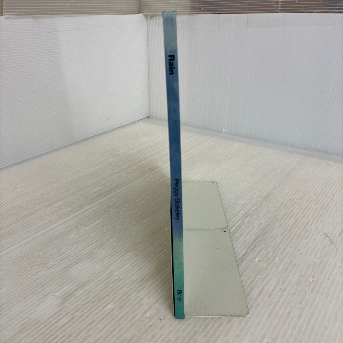 B-ш/ 洋書 rain(にわかあめ) Peggy Blakeley 絵/谷内こうた 文/武市八十雄_画像3