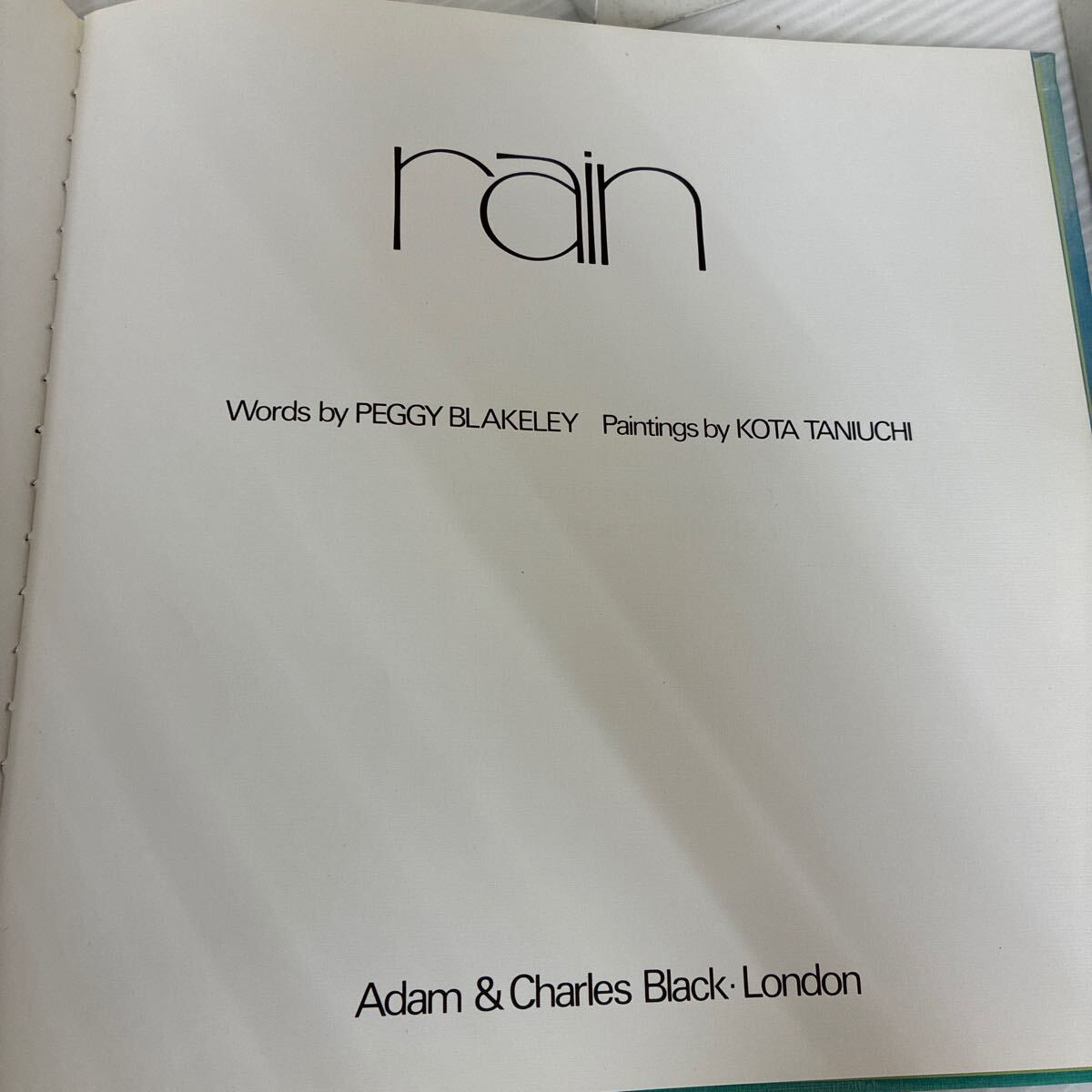 B-ш/ 洋書 rain(にわかあめ) Peggy Blakeley 絵/谷内こうた 文/武市八十雄_画像6
