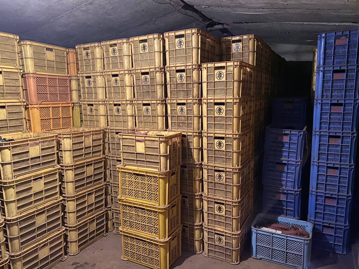 6ヶ月　超熟成　10kg 熟成 紅はるか 土付き 無選別 さつまいも 農(nóng)家直送　熊本県　大津町　送料無料