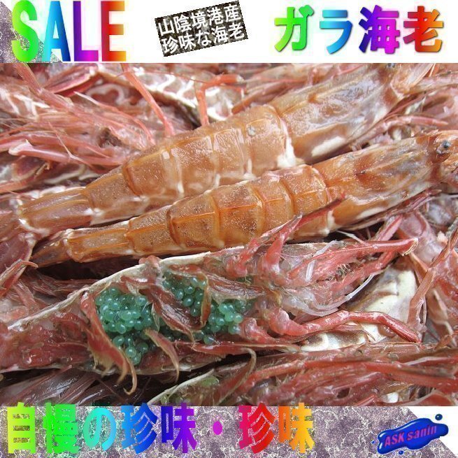 3箱、珍味な海老!! 「ガラ海老1kg」境港自慢の逸品（活または活冷凍）