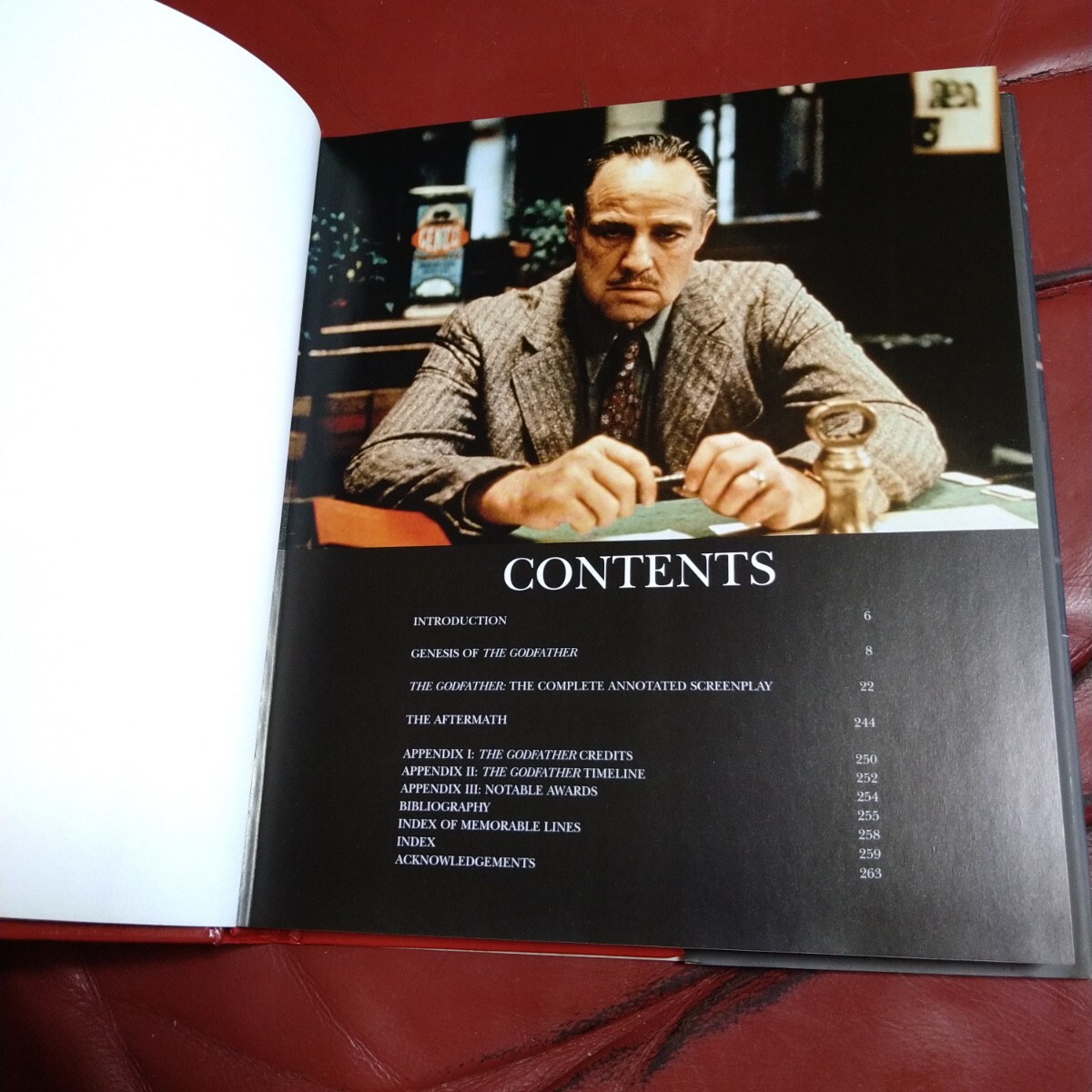 ゴッドファーザー 洋書 スクリーンプレイ シナリオ GODFATHER ゴッドファーザー 洋書 スクリーンプレイ シナリオ GODFATHER