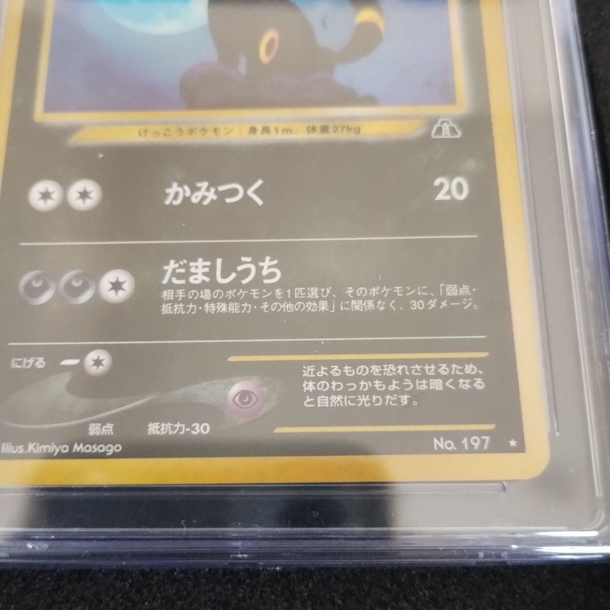 PSA10 ブラッキー プロモ ポケモンカード 2000 Neo2 197 旧裏