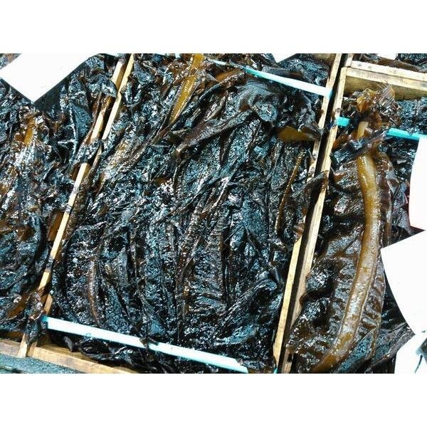 北海道函館産生ワカメ1ｋｇ〔Ｂ〕北港直販☆わかめ?ワカメ〔代引き不可〕