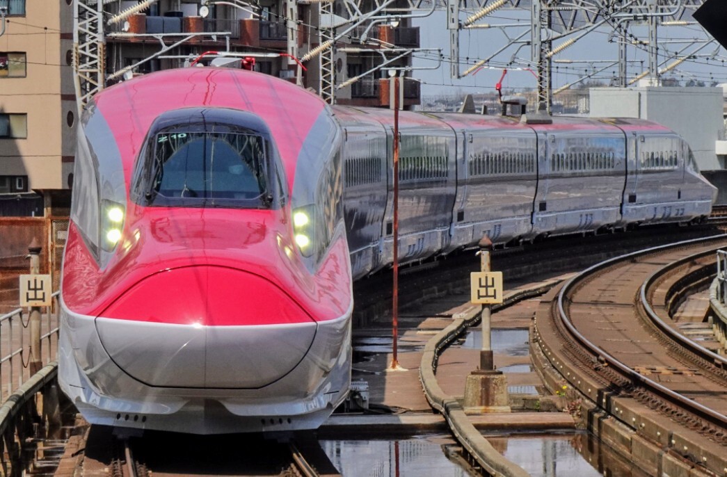 新幹線大爆破 鑑賞時に 限定1品 【E6系こまち 座席ヘッドレスト(普通車用)】 自宅で新幹線気分~ 新幹線大爆破 鑑賞時に 限定1品 【E6系こまち