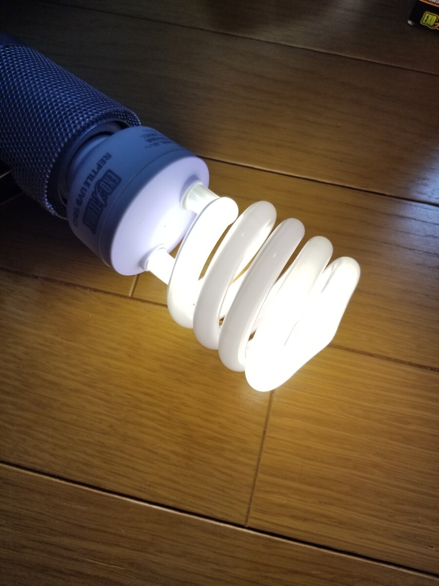 点灯確認済み