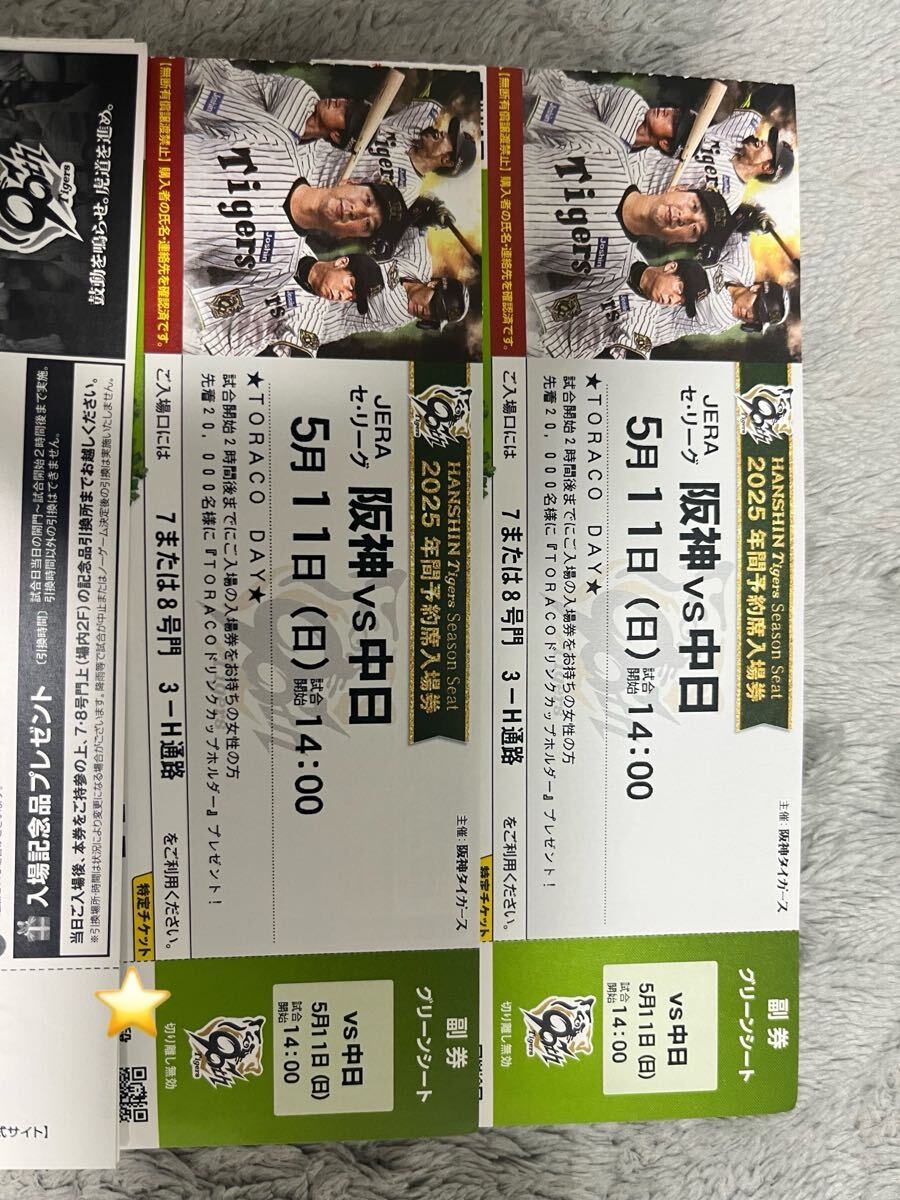 甲子園手渡し！坂神タイガース対中日ドラゴンズ　甲子園　グリーンシート　2枚　チケット