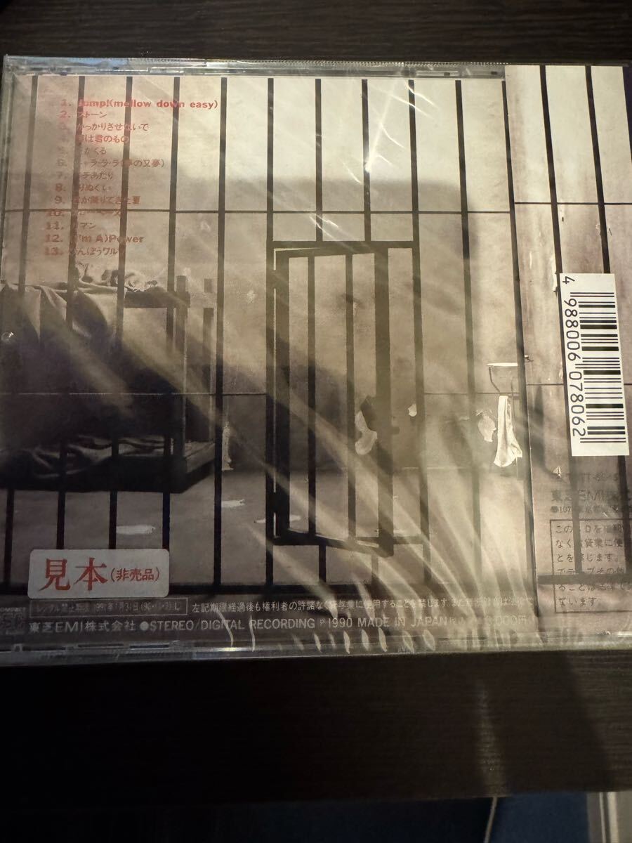 未開封 CD Mojo Club / Home Sick ホーム　シック　/ 三宅伸治　5枚以上まとめてご購入の方（送料0円）送料無料_画像4