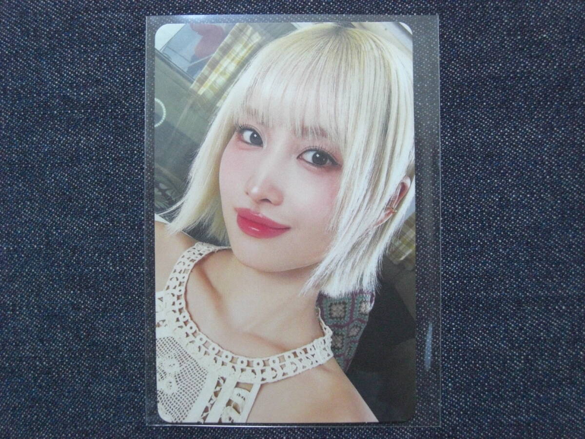 モモ になります。