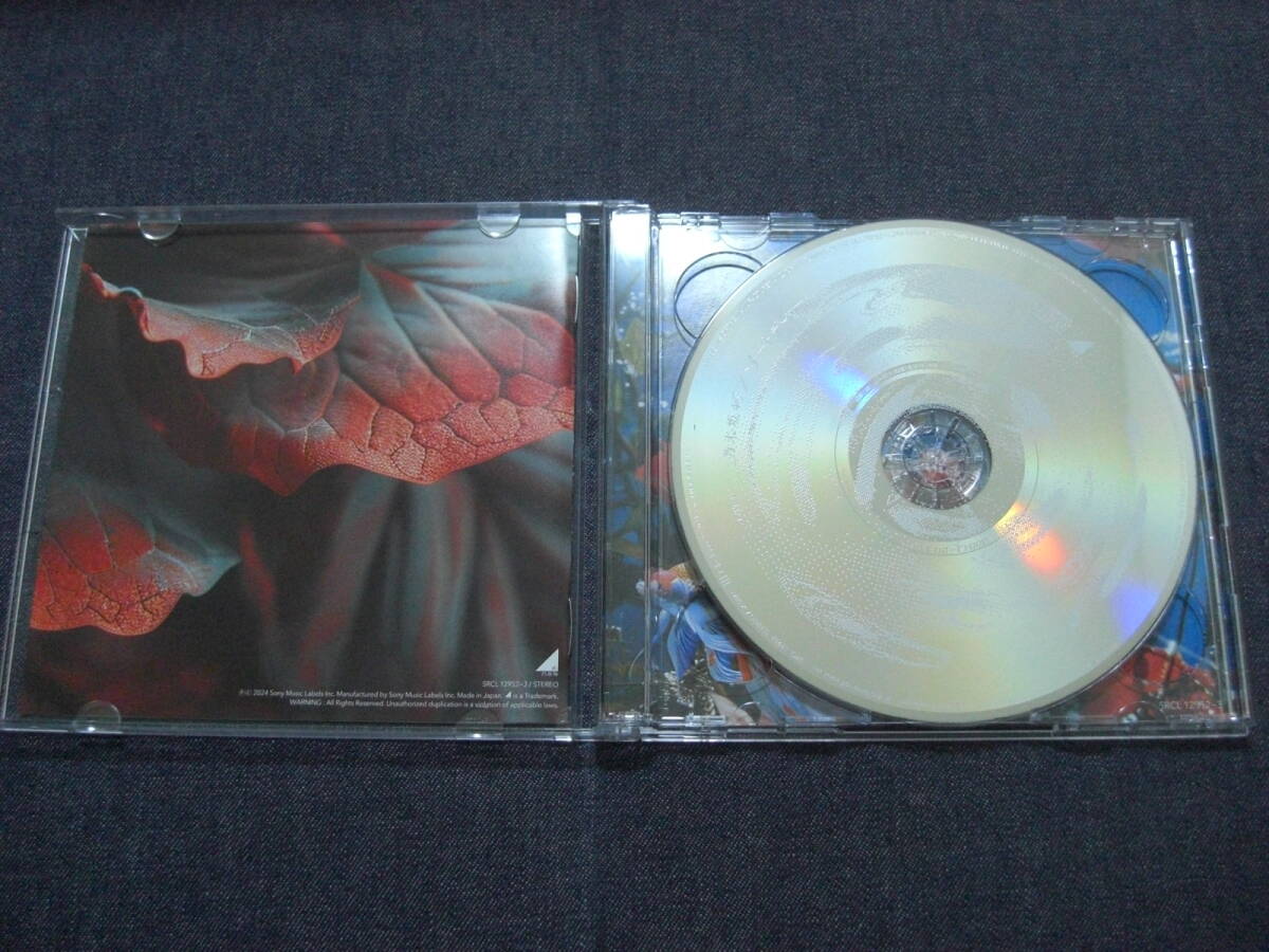 ★乃木坂46★チートデイ/あの光/君にDitto 初回限定盤 Type-B 特典無 1枚★CD+Blu-ray_画像2