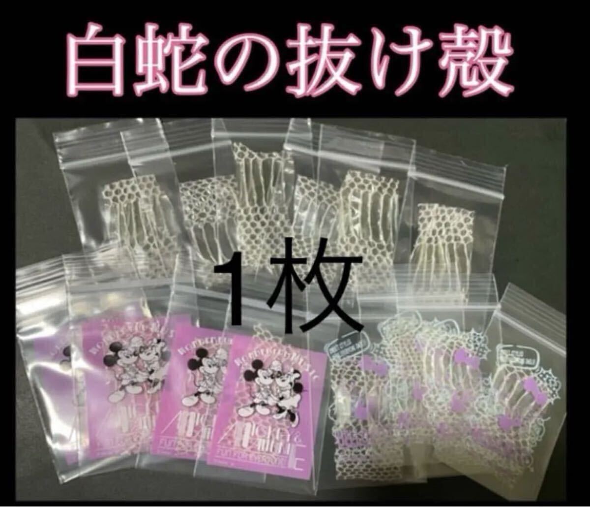 白蛇の抜け殻☆巳年生まれが育てる白蛇のお守り【天赦日】@11