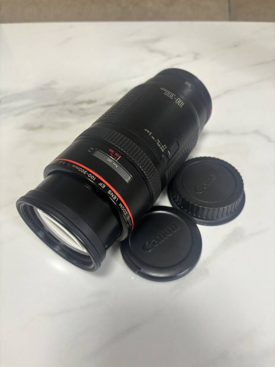 CANON　ZOOM LENS　EF100-300mm 1:5.6 L　キャノン　望遠(yuǎn)ズームレンズ　動(dòng)作品
