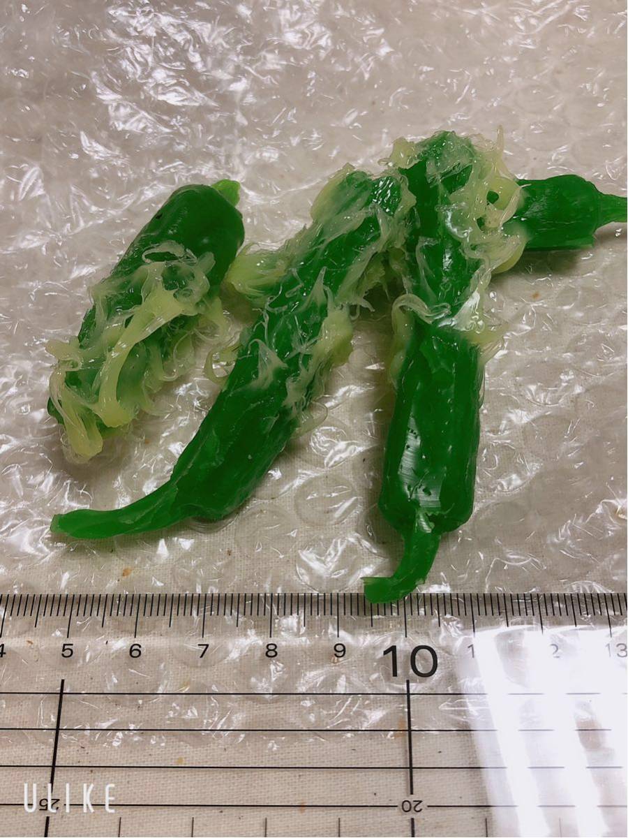 △食品サンプル リアルサイズ 天ぷら 獅子唐 ししとう