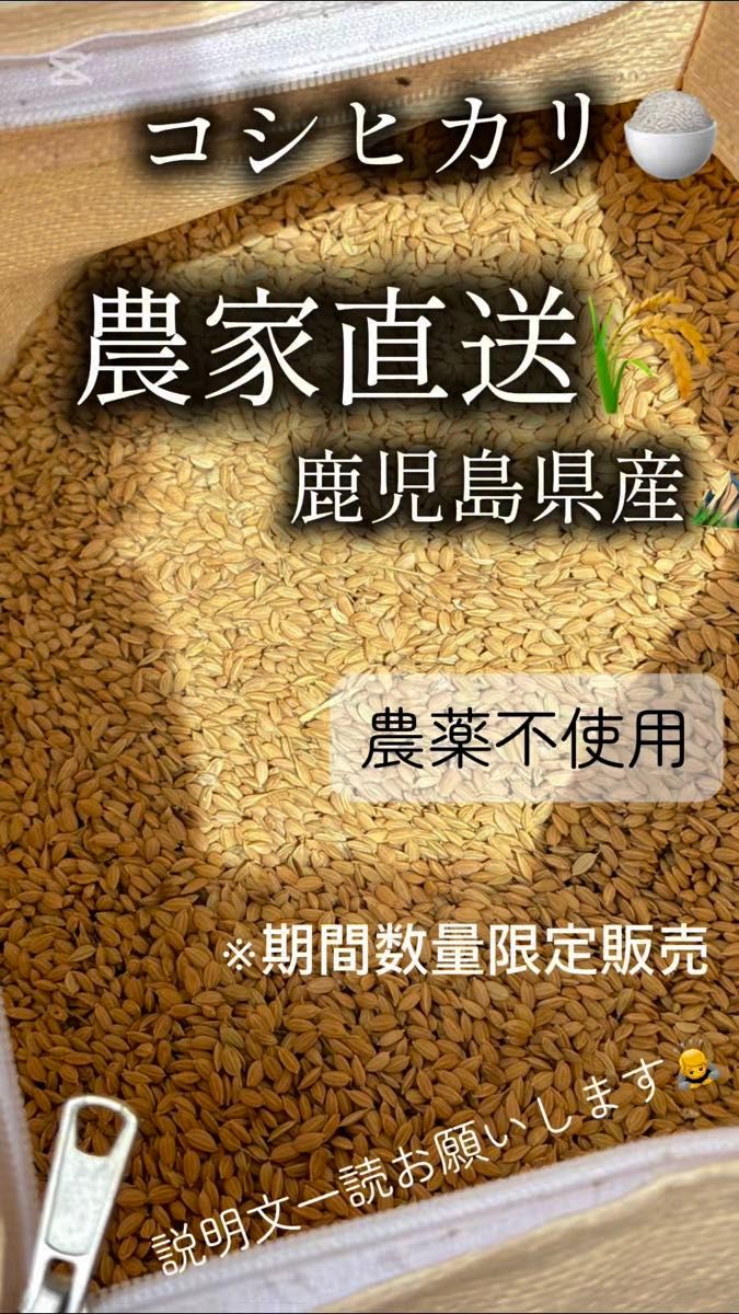【1.4キロ】鹿児島県産 コシヒカリ 令和6年 早期米 お試し価格