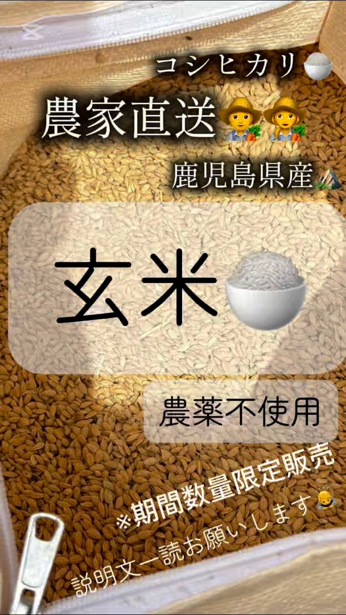 玄米です【1.4キロ】鹿児島県産 令和6年 早期米 お試し価格(新米8月収穫予定)評価はお米を食べてからで大丈夫です^_^
