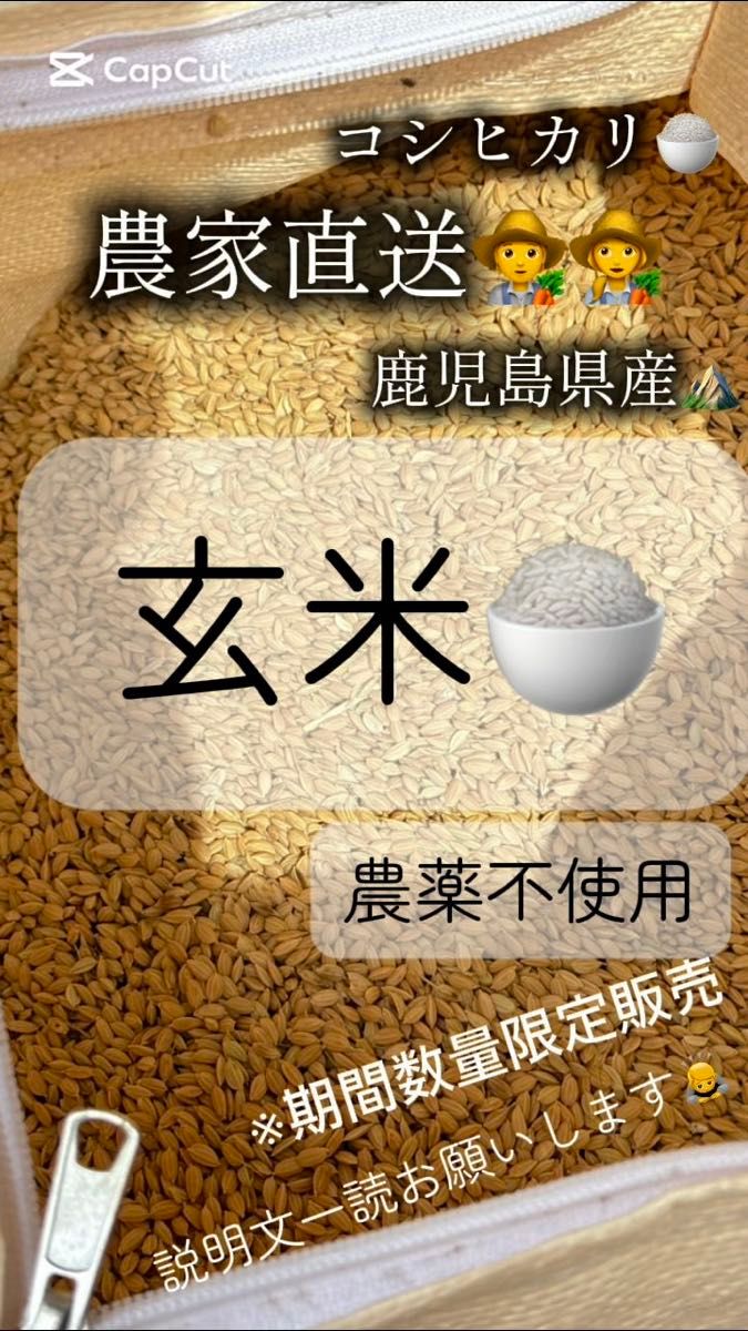 玄米【1.4キロ】鹿児島県産 コシヒカリ 令和6年 早期米 お試し価格(新米8月収穫予定)評価はお米を食べてからで大丈夫です^_^