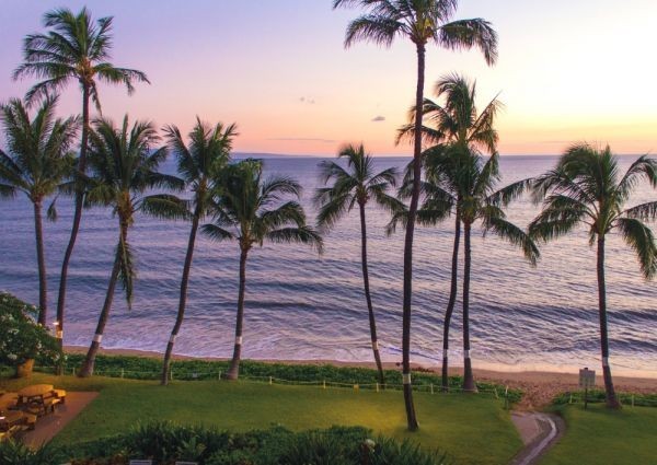  Hawaii maui island. . day Sunset beach park pa-m tree cocos nucifera. tree picture manner wallpaper poster extra-large A1 version 830×585mm is ... seal type 019A1