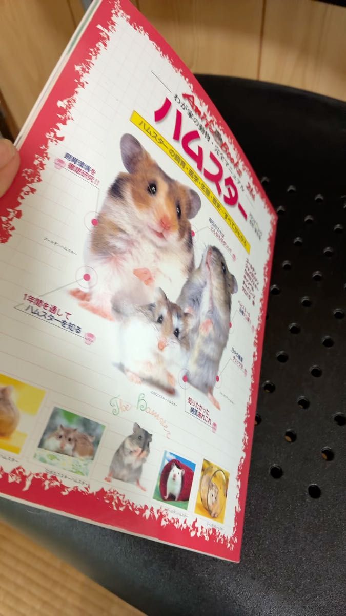ハムスターわが家の動物 完全マニュアル