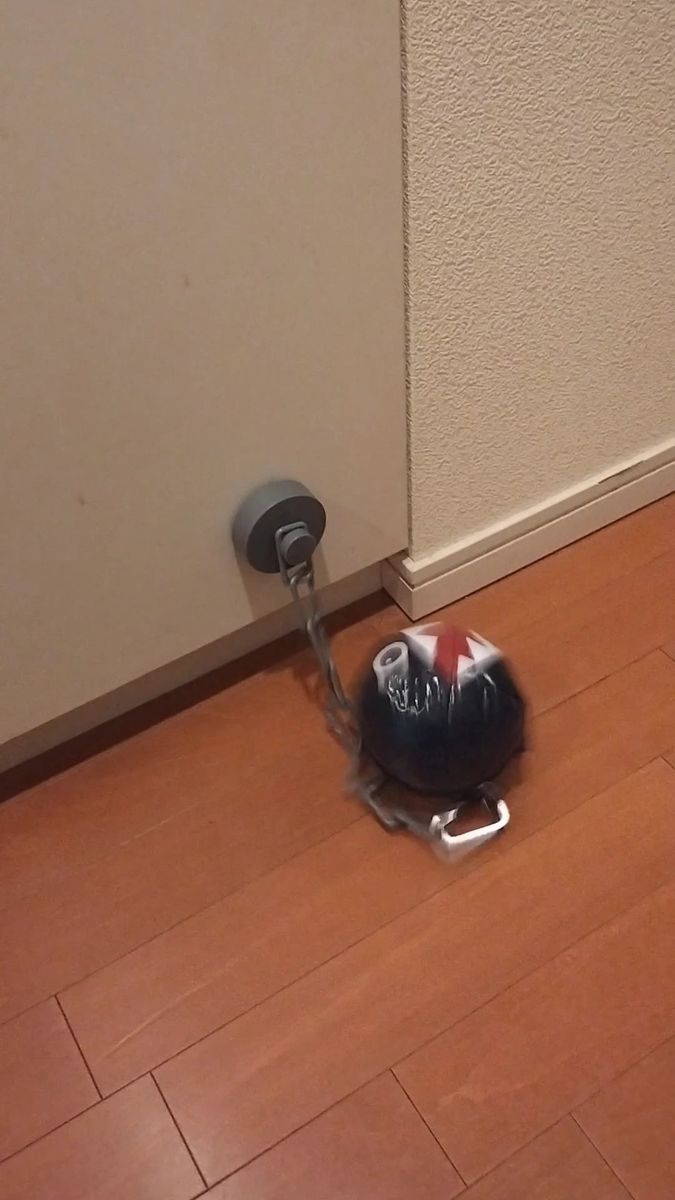 スーパーマリオ ワンワンおおあばれ ギミック