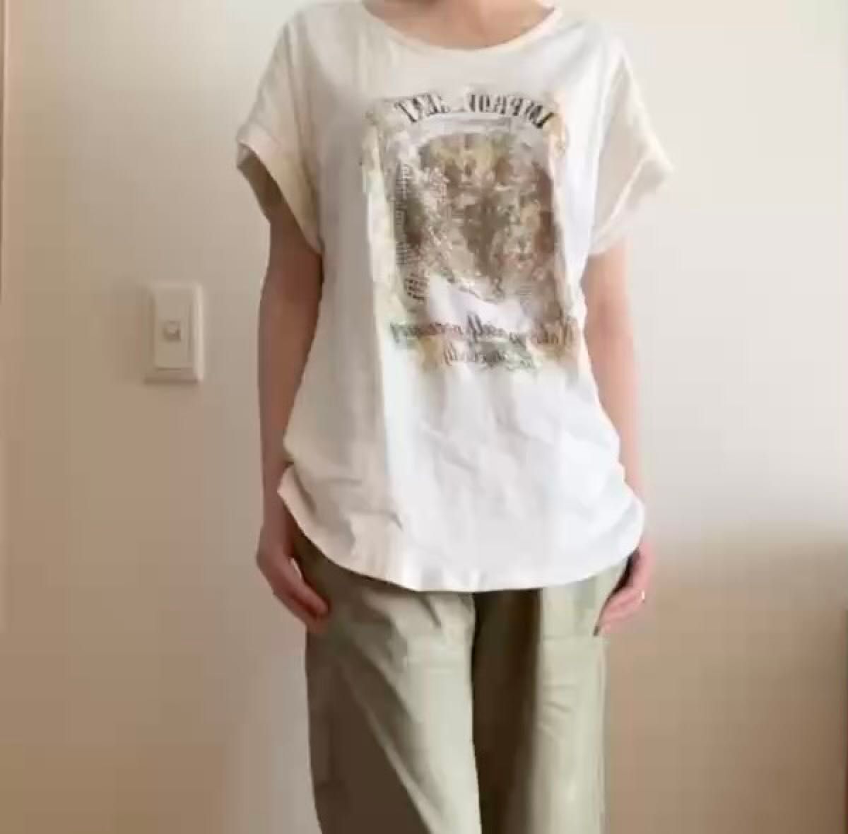 mitis グラフィックプリント Tシャツ サイズM カットソー