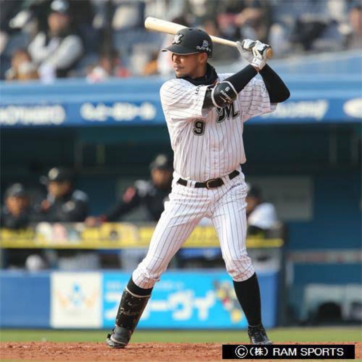 千葉ロッテ 福浦和也 実使用バット 観賞用ケース付 千葉ロッテマリーンズ 福浦 実使用 バット NPB NIKE 価格の相談