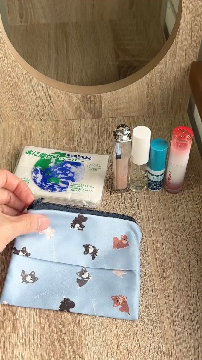 チワワ柄 ポケットティッシュポーチ ハンドメイド 水色