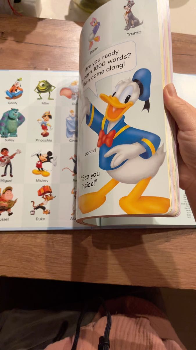 【最新版】ディズニー英語システム 絵辞書 My Big Book of Words
