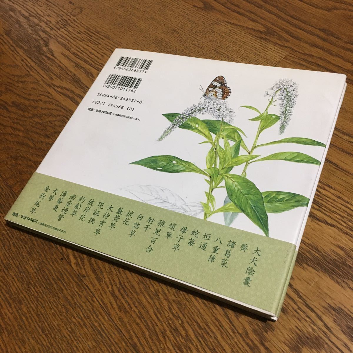 ヤフオク 河合雅雄 長谷川哲雄 散策 ひと里の花 第1刷 ヤフオク 河合雅雄 長谷川哲雄 散策 ひと里の花 第1刷