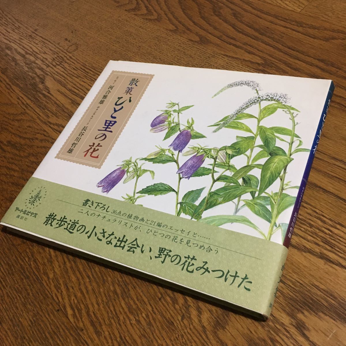 ヤフオク 河合雅雄 長谷川哲雄 散策 ひと里の花 第1刷 ヤフオク 河合雅雄 長谷川哲雄 散策 ひと里の花 第1刷