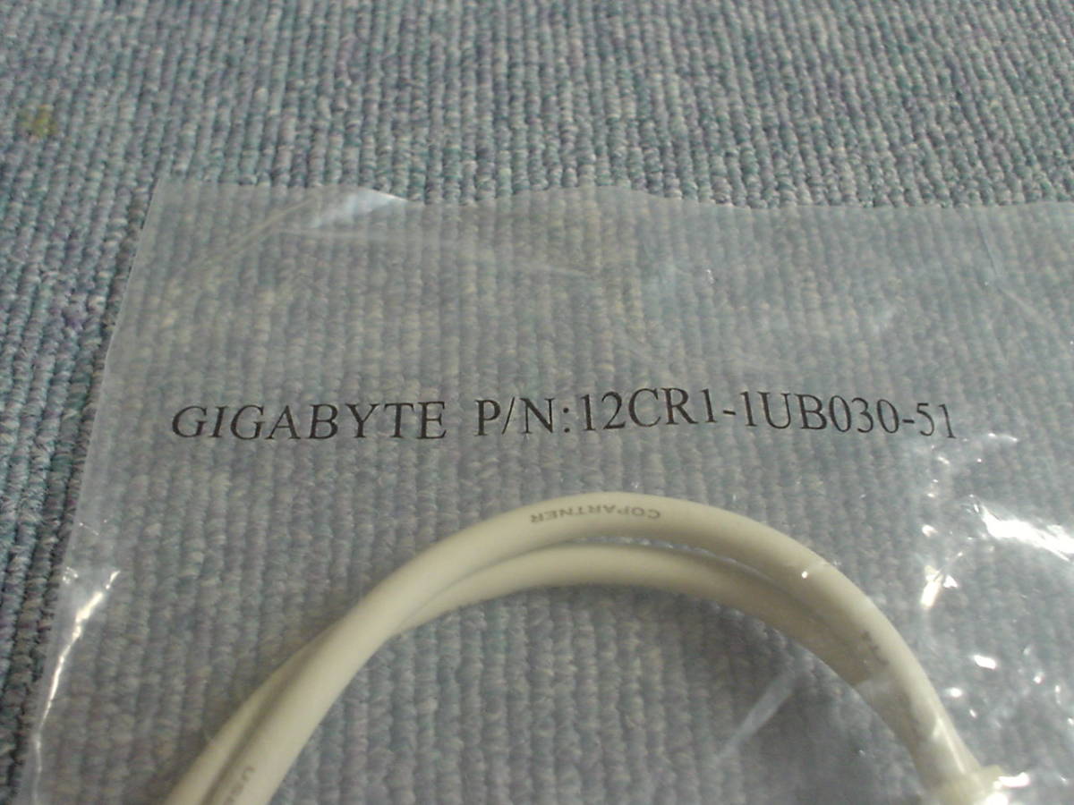 新品 GIGABYTE 増設USB2.0 2ポート 12CR1-1USB030-51 ジャンク扱い_画像5